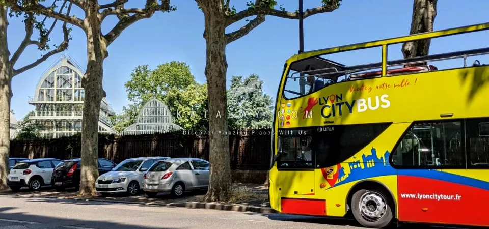 Lyon Tour: Hop-On Hop-Off Tour with Audio Commentary