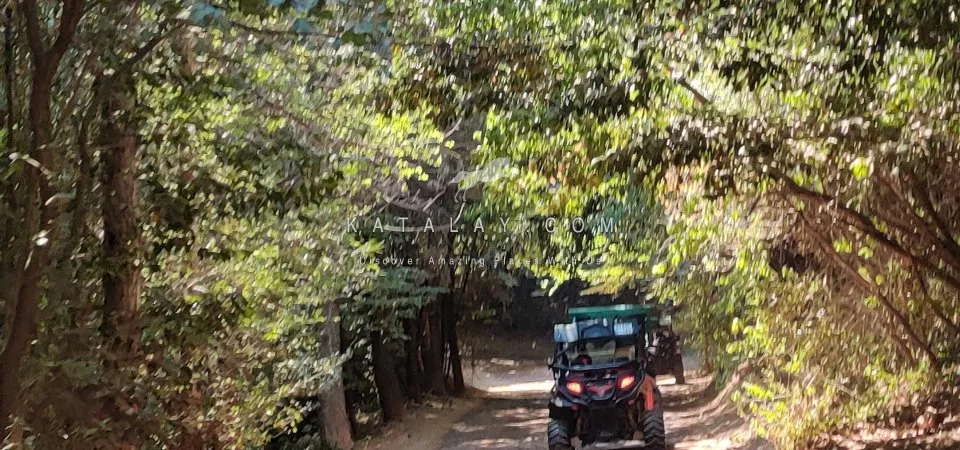 इस्तांबुल से सपांजा और माशुकिये फुल-डे टूर