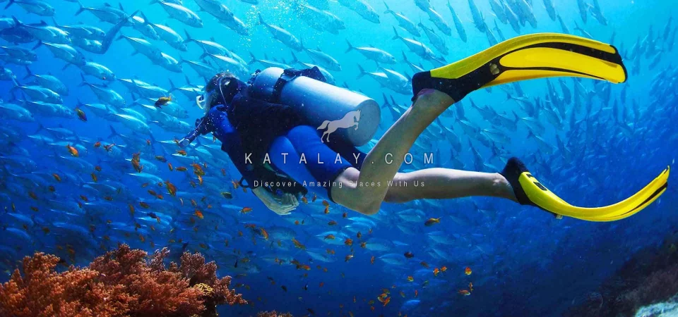 Antalya Tour: Antalya Diving Tour