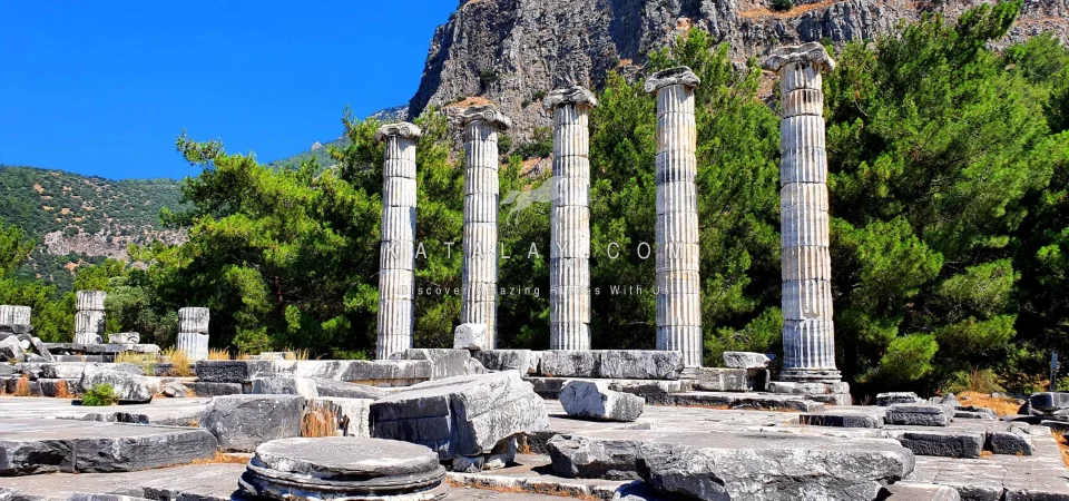 Aydin Tour: Daily Priene, Miletus, and Didyma Tour from Kusadasi or Selcuk