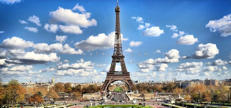 Paris Tour: Eiffel Tower 2nd Floor Skip The Line Priority Access Ticket with Host