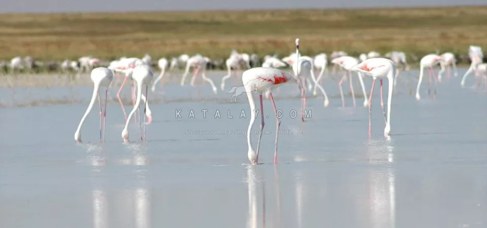 Cappadocia Tour: Daily Salt Lake Tour from Cappadocia