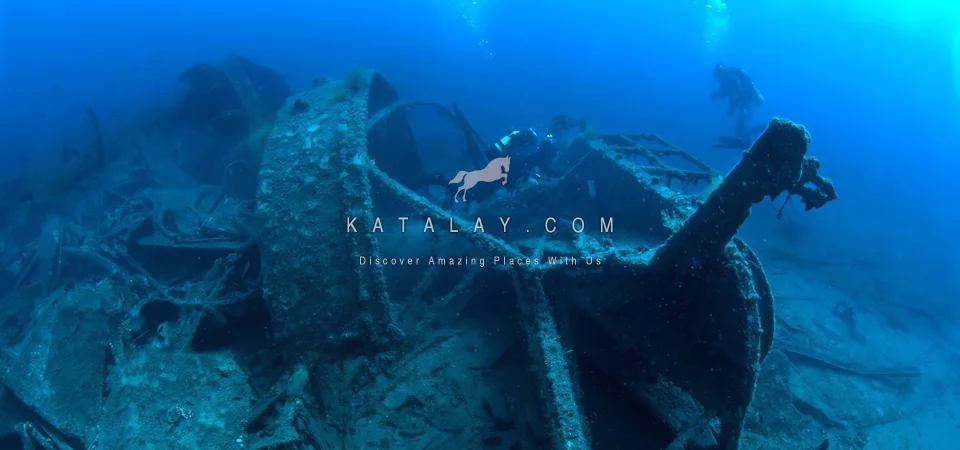 Canakkale Tour: 1 Nights 2 Days Gallipoli and Snorkeling Tour Package from Istanbul