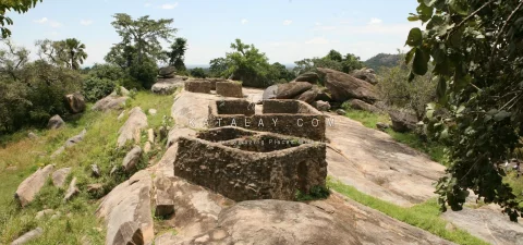 Uganda Tours