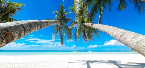 Philippines Tours