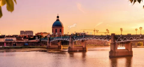 Toulouse Tours