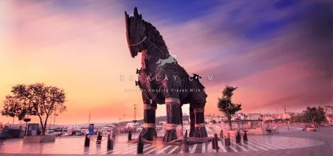 特洛伊之旅