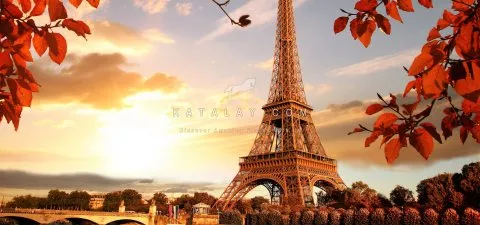 Paris Tour: Eiffel Tower Skip the Line Ticket Small-Group Tour