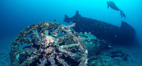 Canakkale Tour: 1 Nights 2 Days Gallipoli and Snorkeling Tour Package from Istanbul