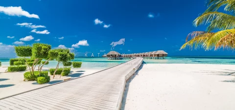 Maldives Tours