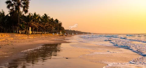 Gambia Tours