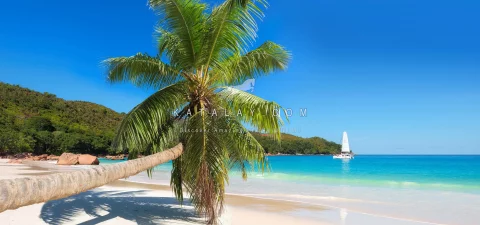 Jamaica Tours