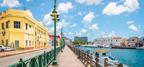 Barbados Tours