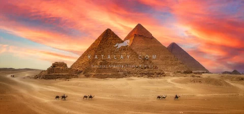 Egypt Tours